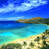 /album/svatebni-dary/hawaii1-jpg/